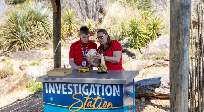 Mother and Son working an investigation station on a bright sunny day.