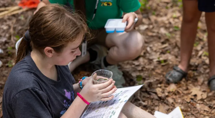 Camper holding a cup with an animal inside, while identifying the animal using a paper chart. 