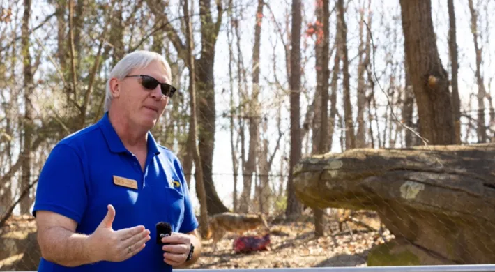 Educator Steve talking on livestream in front of the Red Wolf habitat. An American Red Wolf is in the background feeding on a carcass. 