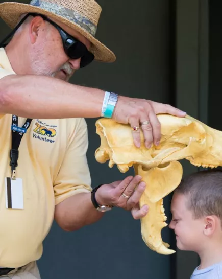 volunteer-with-skull_dsc1247.jpg Thumbnail