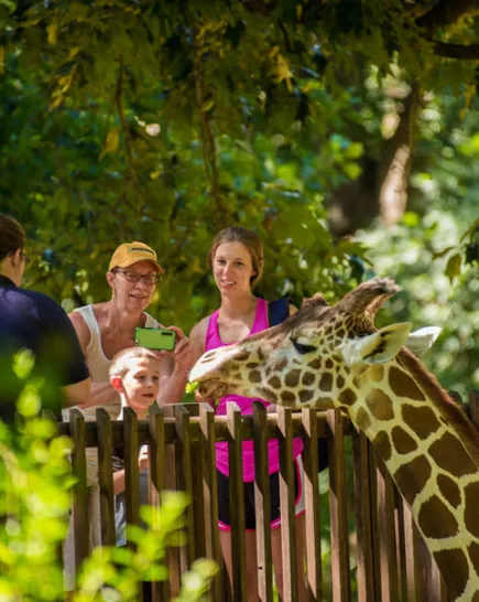 attractions-home-2
