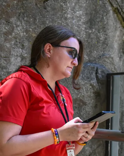 A female intern with dark hair pulled into a bun and wearing a red shirt stands next to a rock wall holding a small black tablet collecting data at the grizzly bear habitat.
