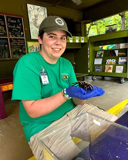 Zoo intern with blue rubber gloves holding a tarantula