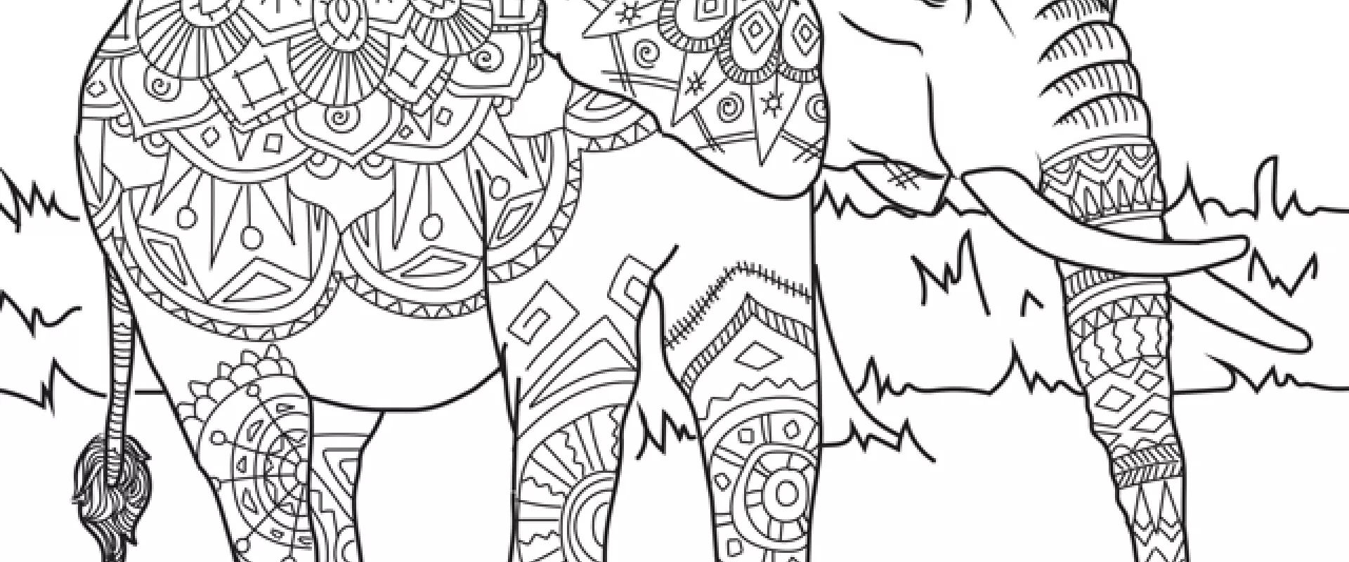 Elephant  walking in tall grass zentangle coloring page
