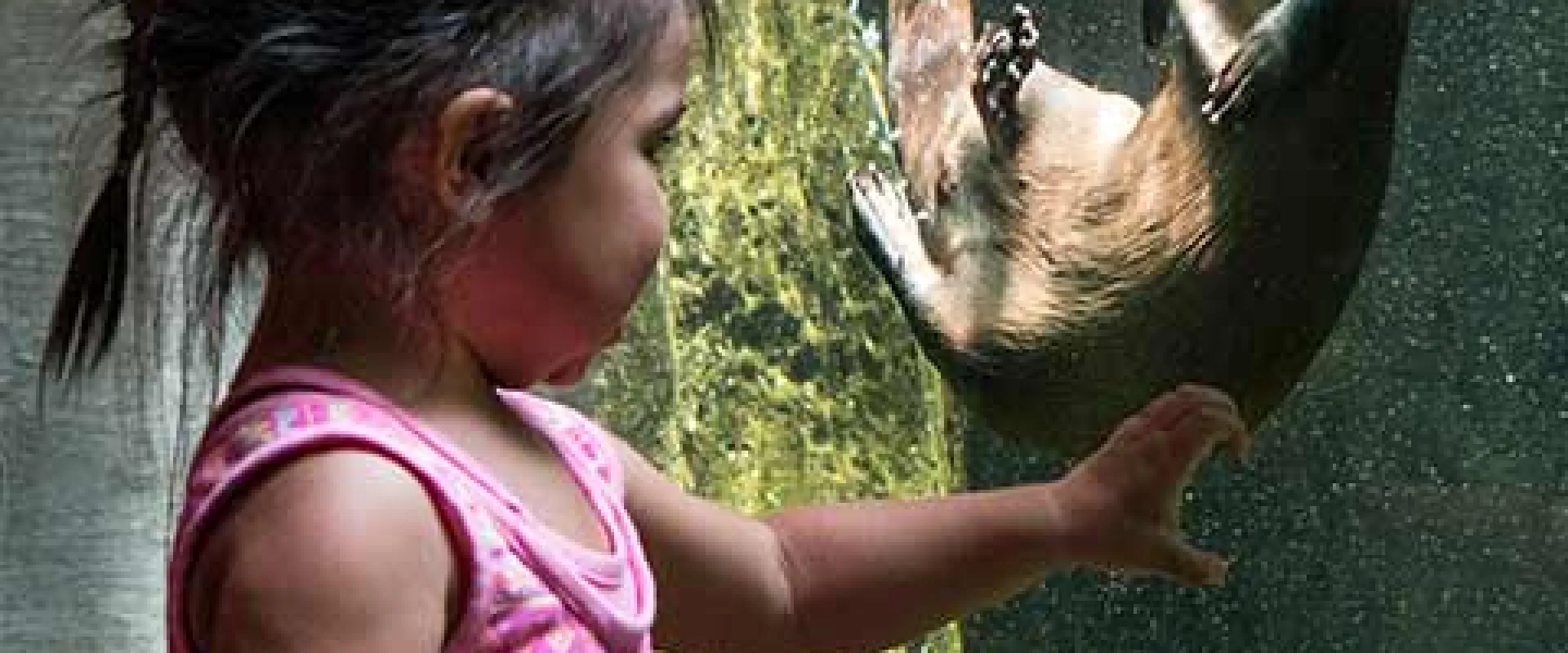 Girl with otter swimming