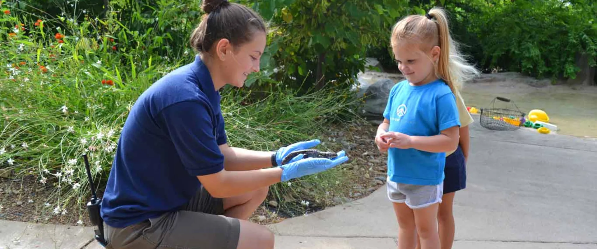 a person wearing a dark blue NC Zoo uniform and blue latex gloves crouches down on a sidewalk and holds a Salamander towards a young girl in a blue shirt. They appear to be explaining something to the child. A well-kept garden is visible in the background.