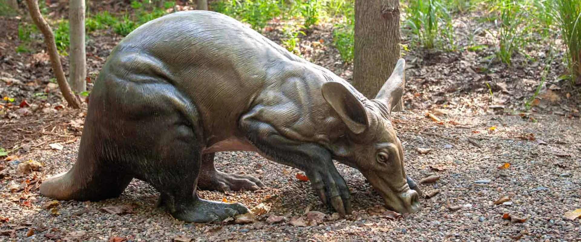 A life-like bronze statue of an Aardvark, poised and digging in the dirt. It is a dog sized animal with a long, thick tail and longer, cylindrical snout and ears.