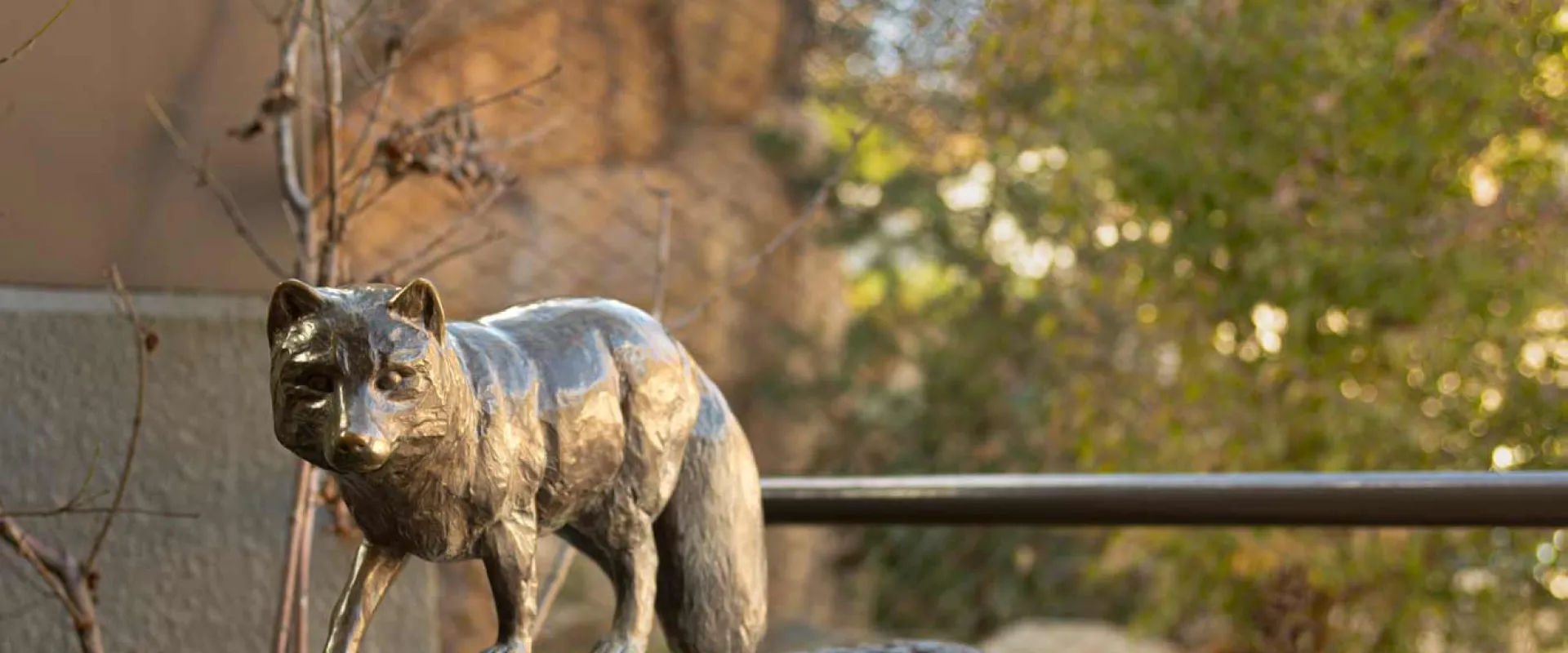 A small bronze statue of an Arctic Fox standing with its signature bushy tail on a rectangular pedestal that has been affixed to the top of a large boulder with trees and a metal handrail behind it.