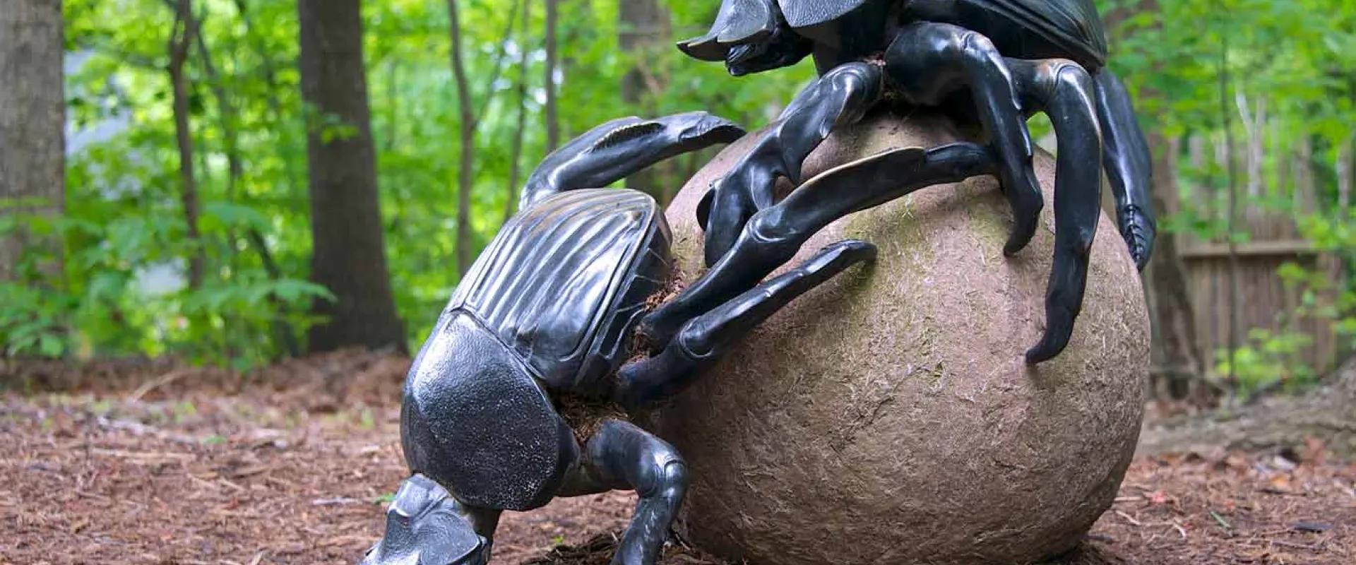 An art installation in a wooded area, of two larger than life Dung Beetles crawling along the mulch covered ground, making a large clay looking ball.