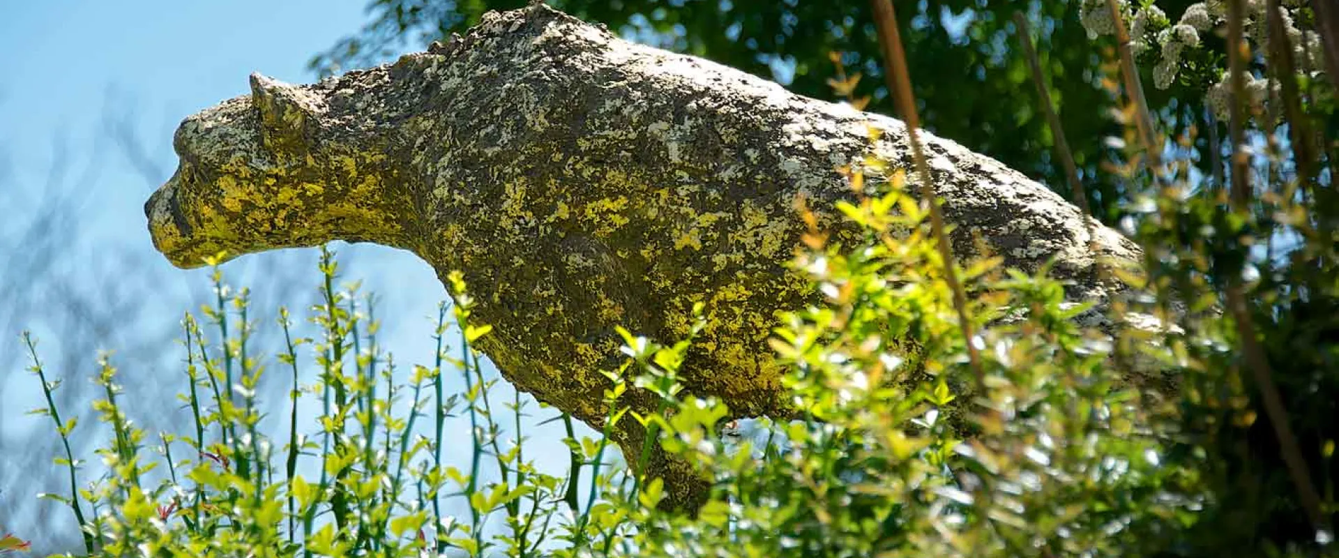 A bronze rendering of a large cat, possibly a Leopard as it sits, poised to strike on a rock surrounded by tall grasses under a clear blue sky.