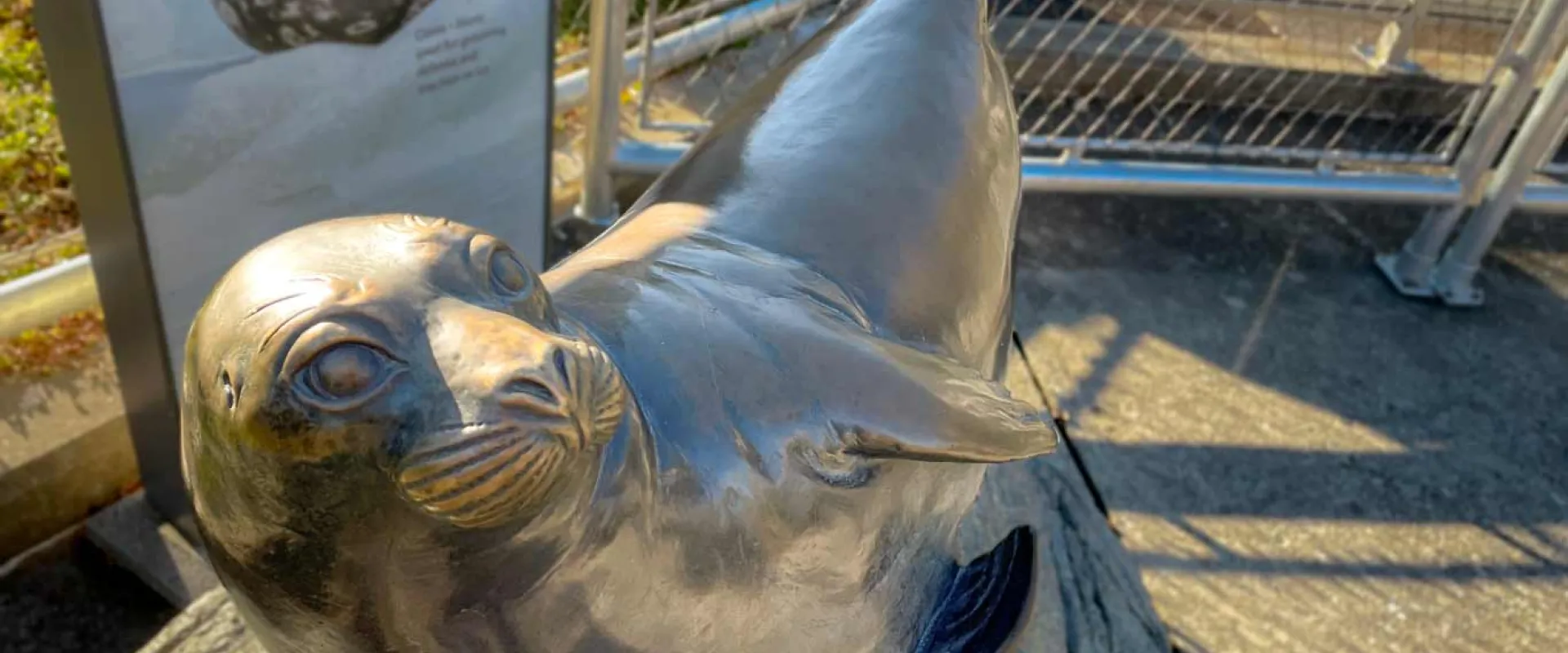 A small rendering of an Arbor Seal in bronze, that is positioned on its side, exposing its flippers to appear as if it is swimming.