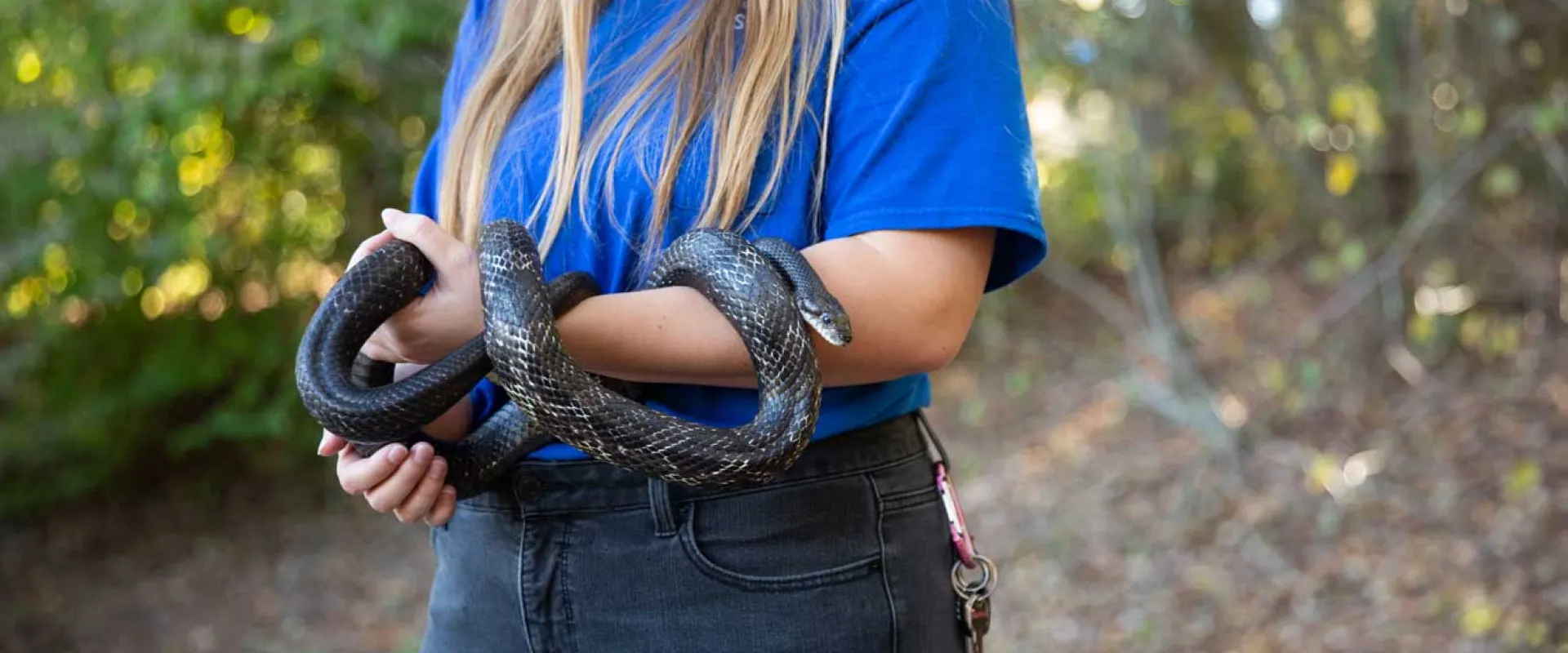 A woman with long blonde hair stands in a wooded area holding a long, black snake that is wrapping itself up her forearm.