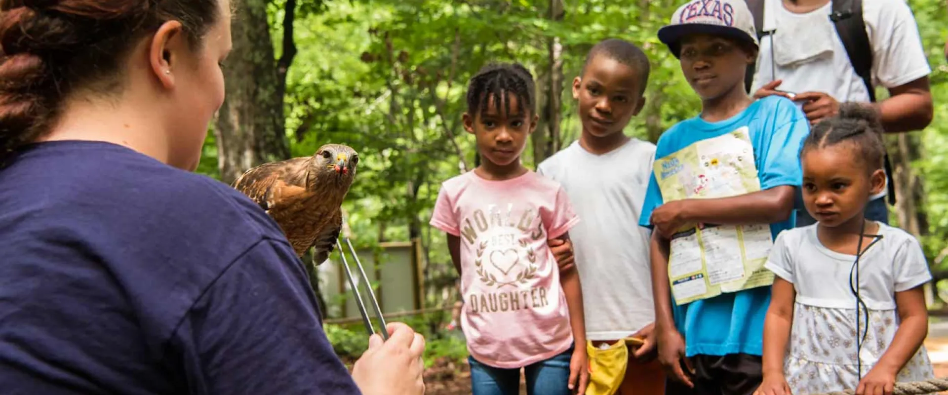 A woman with red hair, wearing a navy blue shirt, is holding a small, brown hawk on her gloved hand and talking to a group of four children and a man. The group is standing behind a rope barrier in a wooded area, all looking at the hawk.