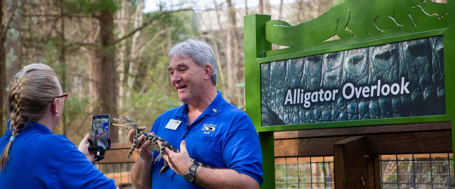 A woman with a blonde braid and blue shirt stands holding and a cellphone facing and seemingly recording an older man in a blue shirt that is holding a small, brown and tan baby Alligator. They are on a wooden deck in front of a green sign with an image of an Alligator and text that reads "Alligator Overlook".