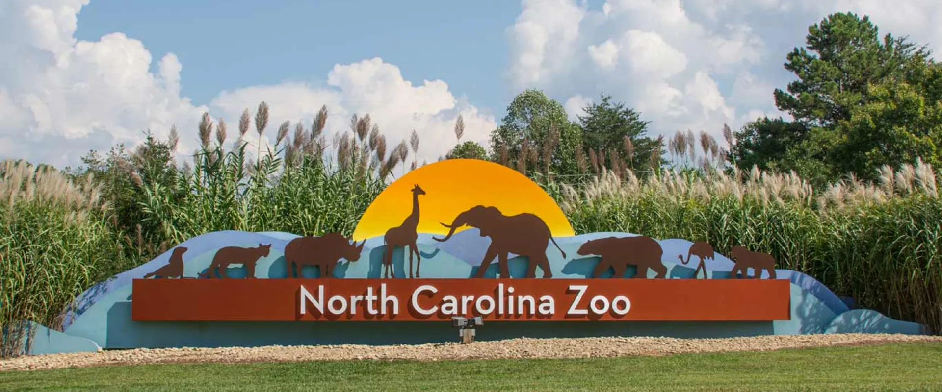 The entrance sign for the North Carolina Zoo is visible, featuring a large, curved sign with "North Carolina Zoo" written across it. Above the text, silhouettes of various animals (including an elephant, giraffe, and bears) are depicted against a yellow sunrise. The sign is set into a grassy mound surrounded by tall reeds and trees under a partly cloudy blue sky.
