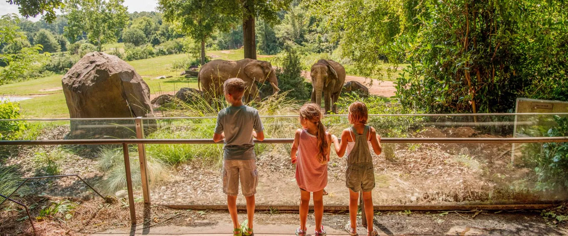Three children stand with their hands on a handrail, facing a large, open habitat. Inside are two elephants that are looking back at the kinds, surrounded by large rocks and trees.