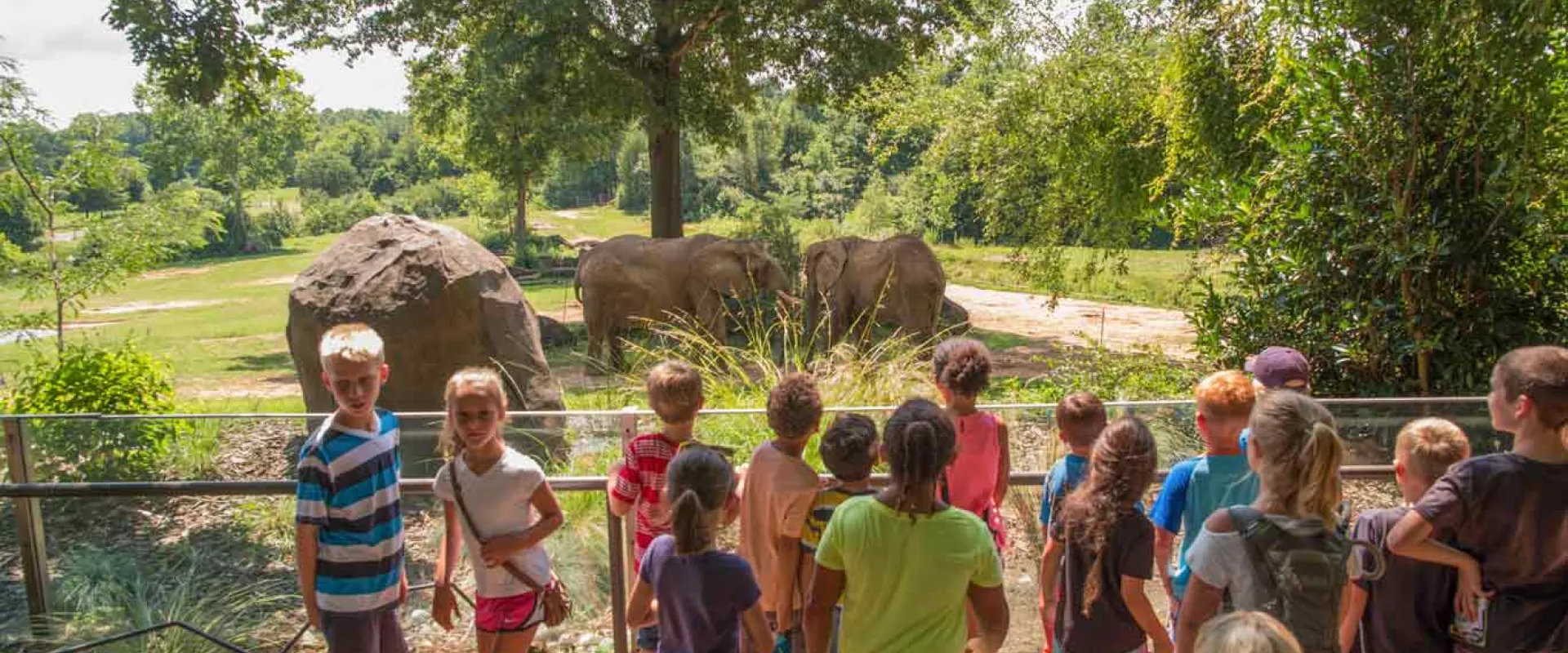 A group of children gathered in front of a glass barrier wall, looking out into a vast field that is sprinkled with trees and large rocks. Two elephants stand near the wall looking out towards the children.