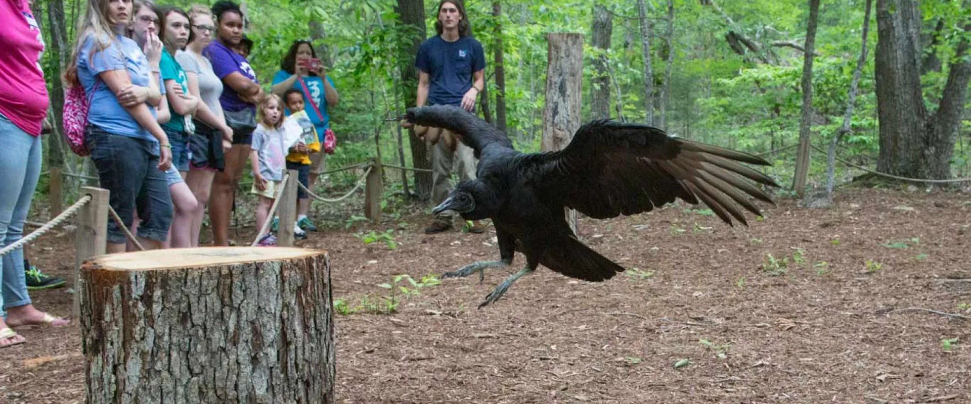 Catch a Vulture by a Toe: Soap of the Savannah | North Carolina Zoo