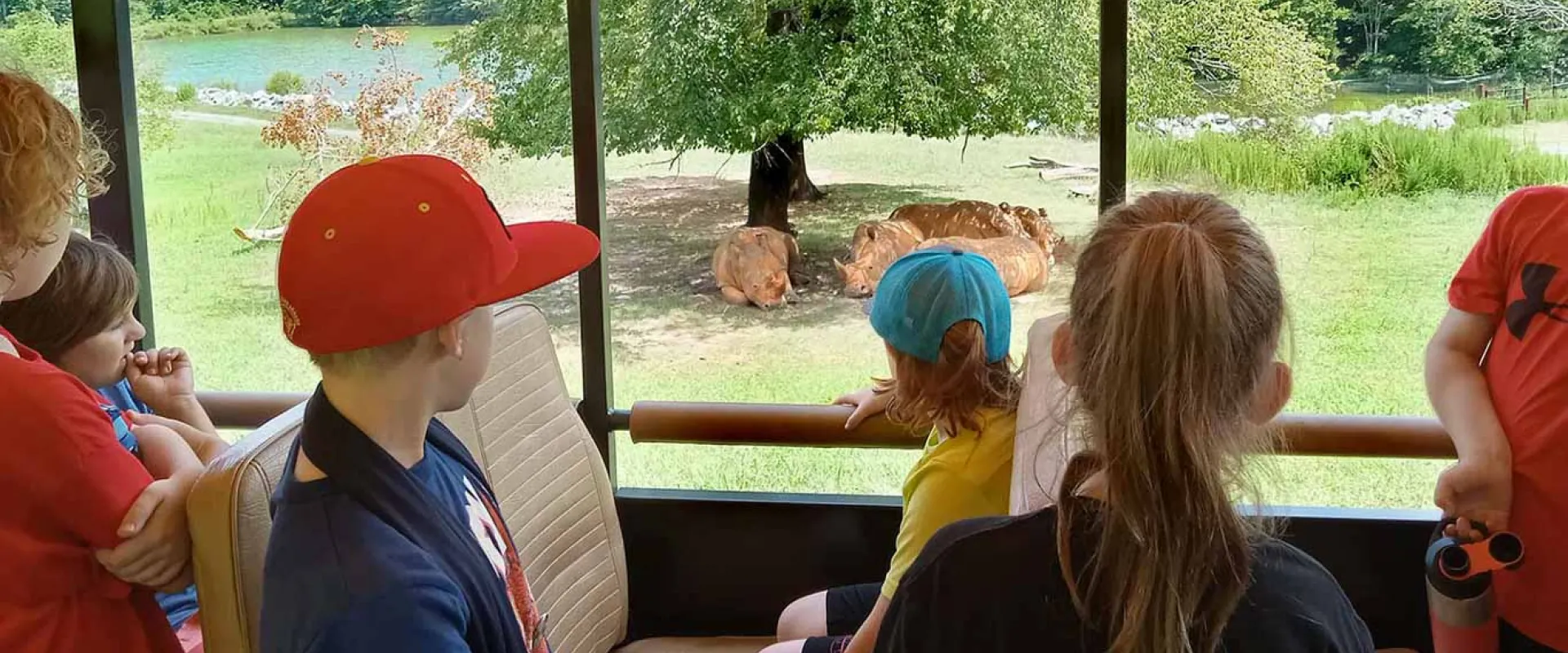 A group of children sitting in an open-air safari vehicle, looking out into a vast field where they find three Rhinoceros laying under a tree. A large lake is visible off to the left behind them.