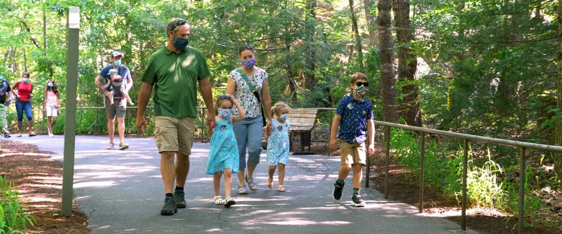 Several families with young children walk spaced apart and wearing face masks as they walk along a paved path through  a forest that is lined with a metal handrail.