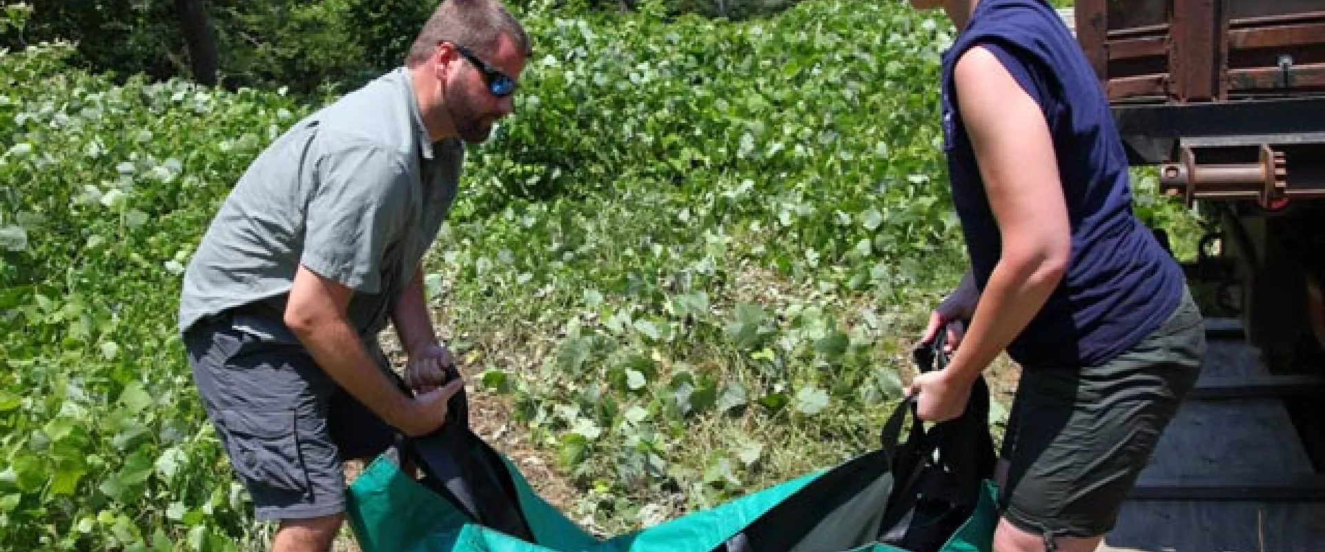 Two wildlife workers (a man and a woman) in casual outdoor gear are lifting and moving a large, specialized green animal containment bag near a truck and dense green foliage.