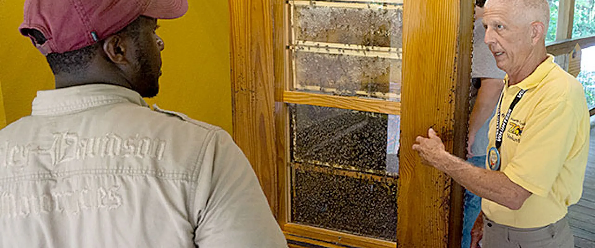 A volunteer is sharing information about honey bees in front of a live bee hive.