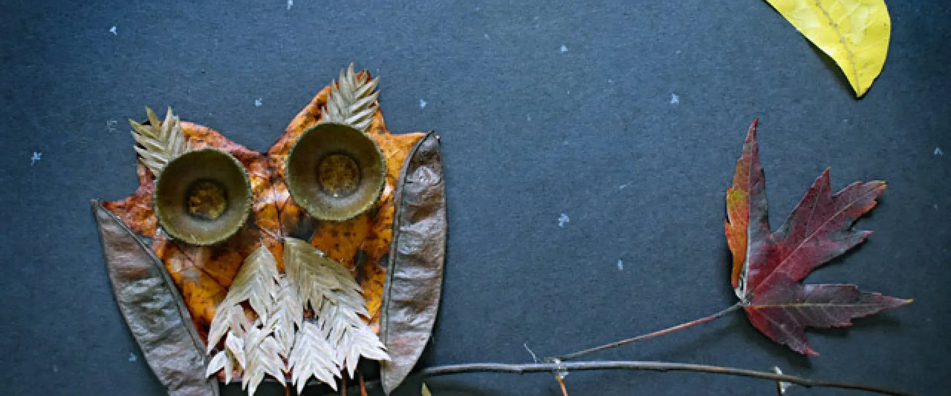 Craft made of leaves in the shape of an owl on a branch with a moon over its head on a dark blue background.
