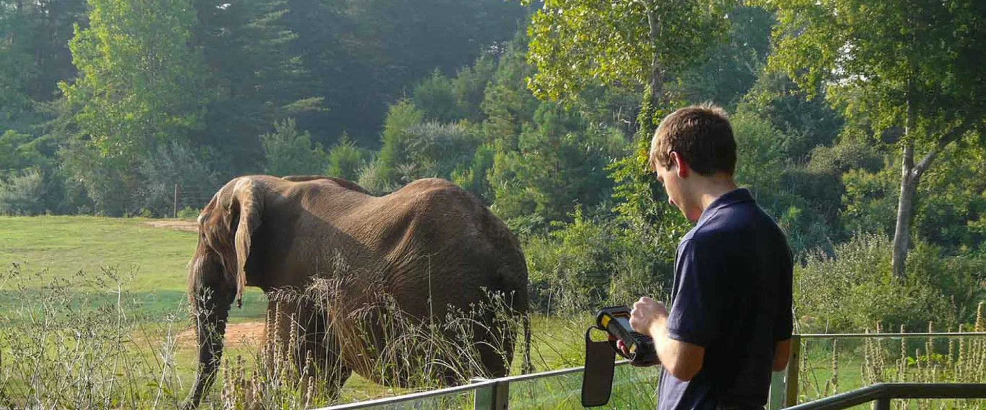 Staff researching at elephant habitat with elephant in the background