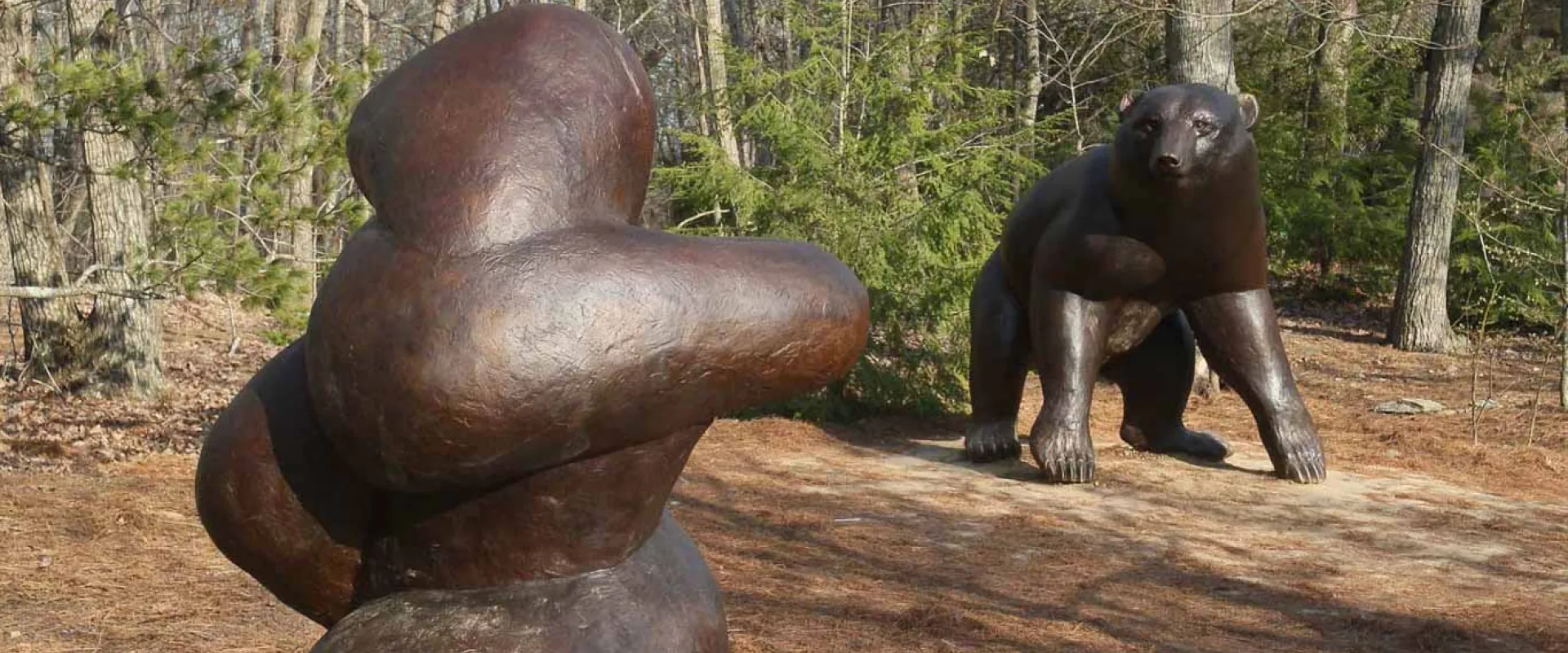 Bear and Shaman