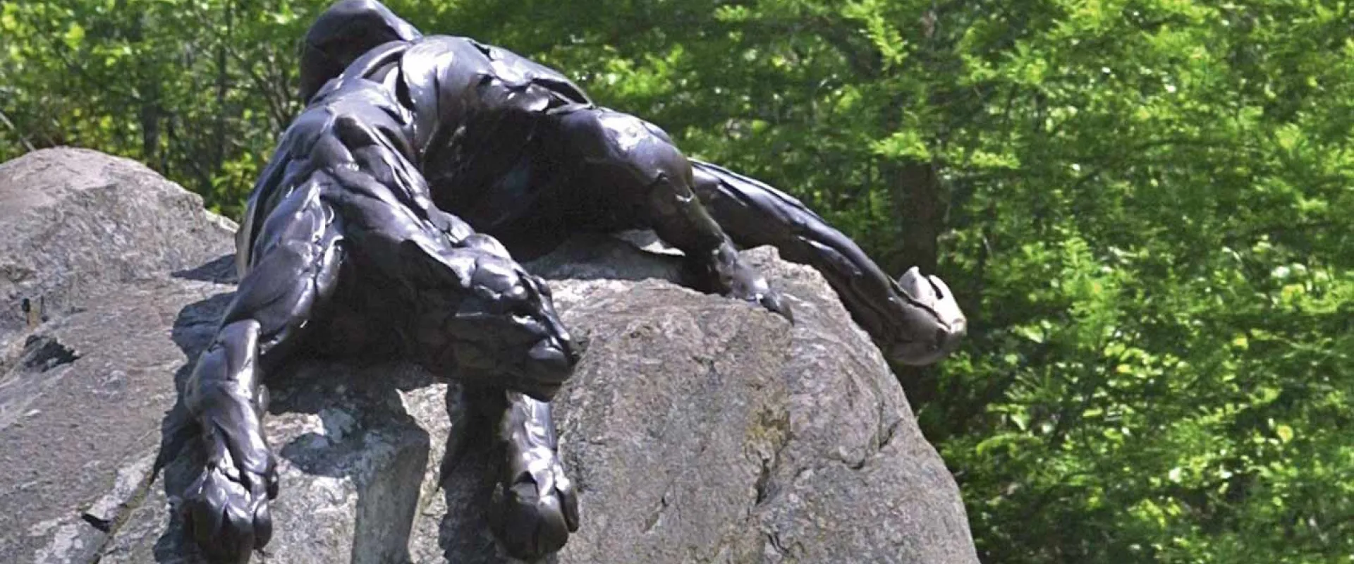 A dark bronze statue of a powerful, muscular gorilla or ape is shown scrambling or climbing up a large grey natural rock. Green foliage is visible in the background.