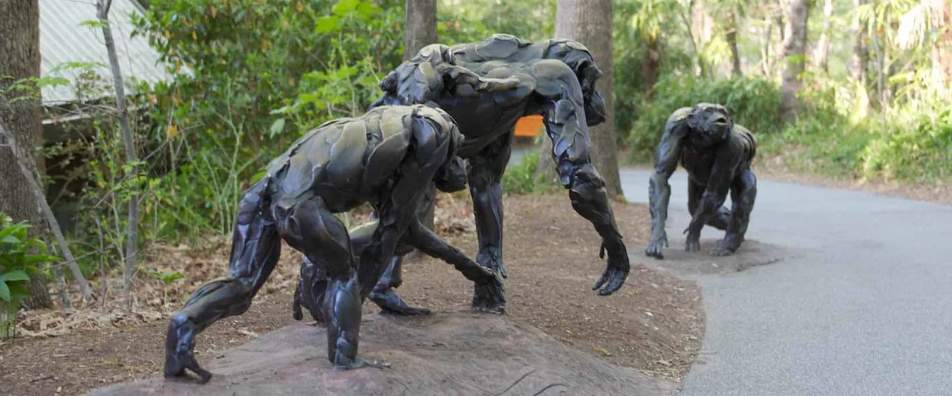 Chimpanzee Troupe Sculptures