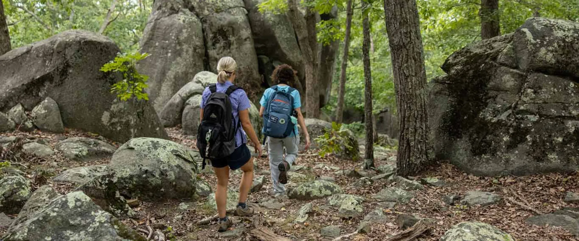 Two adult hikers are seen from behind walking through the woods towards a collection of towering, moss covered boulders.