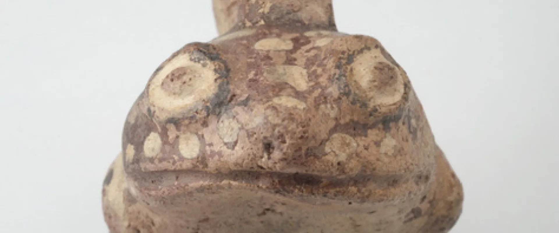 A Peruvian frog-bottle sensory art- a small, rounded bottle with a stubby neck coming from the top and the large eyes and mouth of a frog carved into the front.