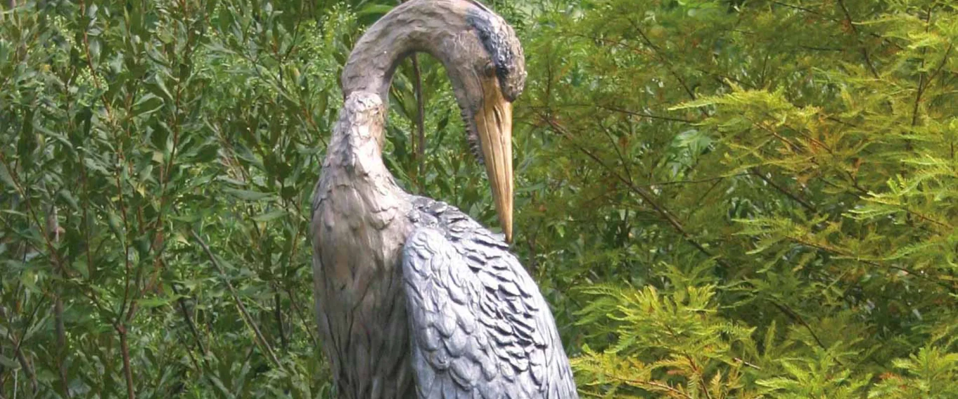 A bronze statue of a majestic Preening Heron, its neck arched as its looking towards its back, standing amongst dark green foliage.