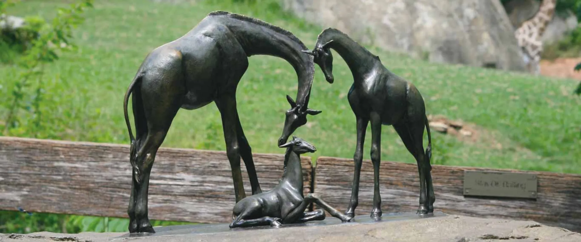 Renewal Sculpture