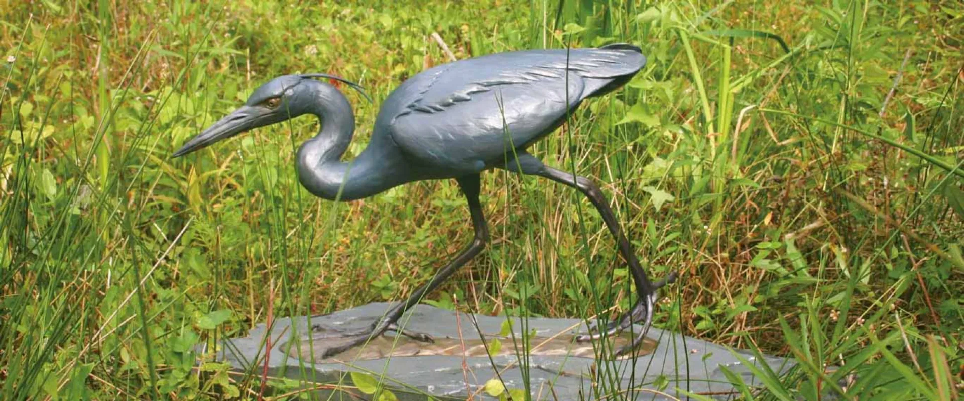 A bronze rendering of a Stalking Little Blue Heron, poised on a rock and looking into the water, surrounded by tall water plants.
