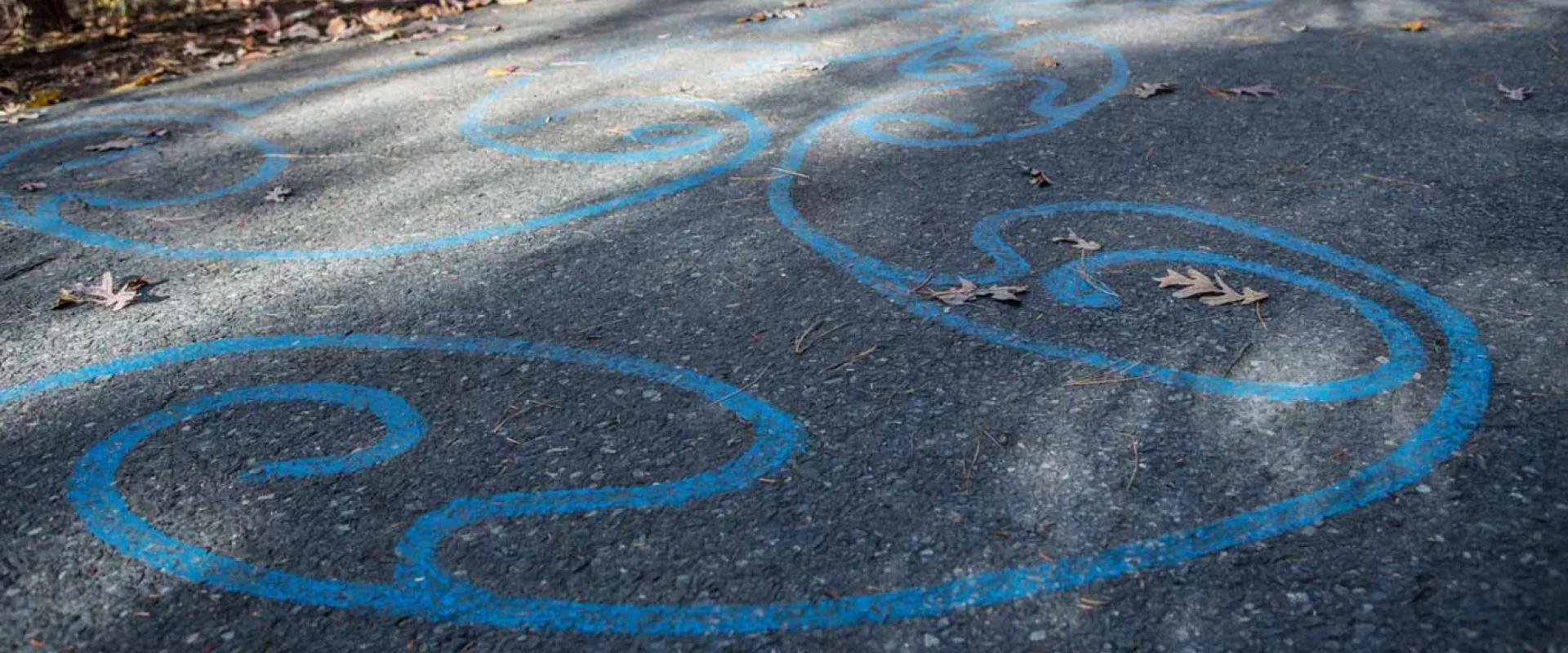 A paved path lined with handrails that winds through a heavily wooded area. Swirling blue, hand painted designs flow along the path.