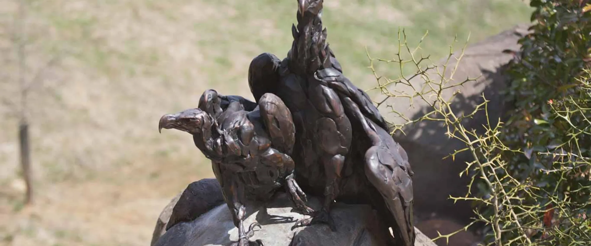 A bronze sculpture of two vultures sits on a large rock. One vulture stands tall with its head facing forward, while the second vulture is hunched over on the left, looking down. The background is out of focus, showing a blurred, rocky landscape.