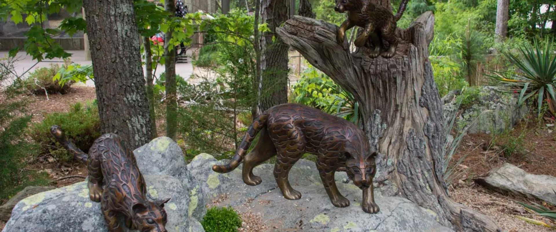 A bronze rendering of two big cats standing on a rocky outcrop near a large tree trunk. The animals are dark, sleek, and faces slightly toward the right. The habitat is filled with green foliage and trees, and includes gravel or scattered rocks on the ground.