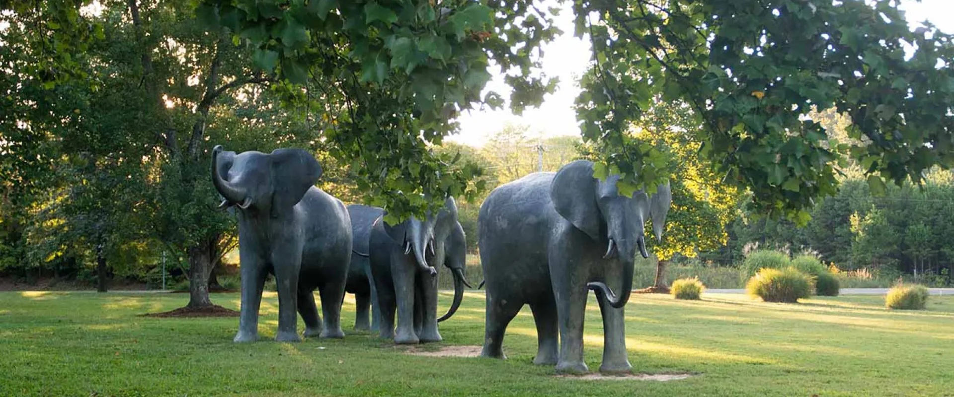 Four life-sized bronze statues of an Elephant herd. The animals are rendered in motion, appearing to walk and raise their trunks in the air.
