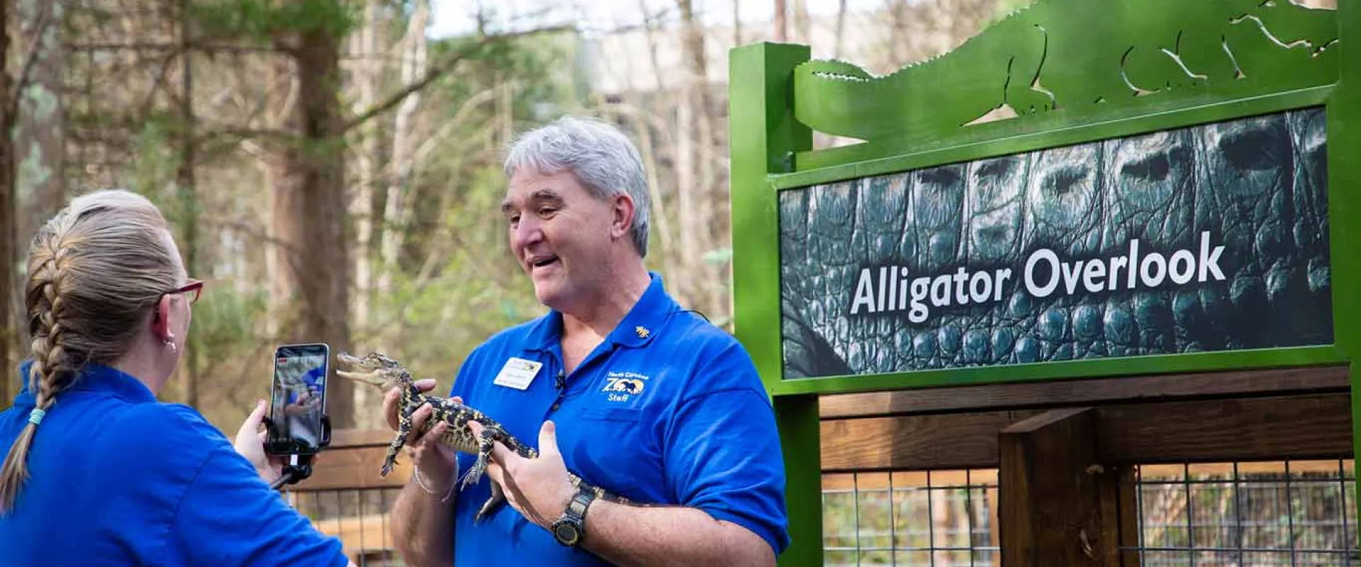A woman with a blonde braid and blue shirt stands holding and a cellphone facing and seemingly recording  an older man in a blue shirt that is holding a small, brown and tan baby Alligator. They are on a wooden deck in front of a green sign with an image of an Alligator and text that reads "Alligator Overlook".