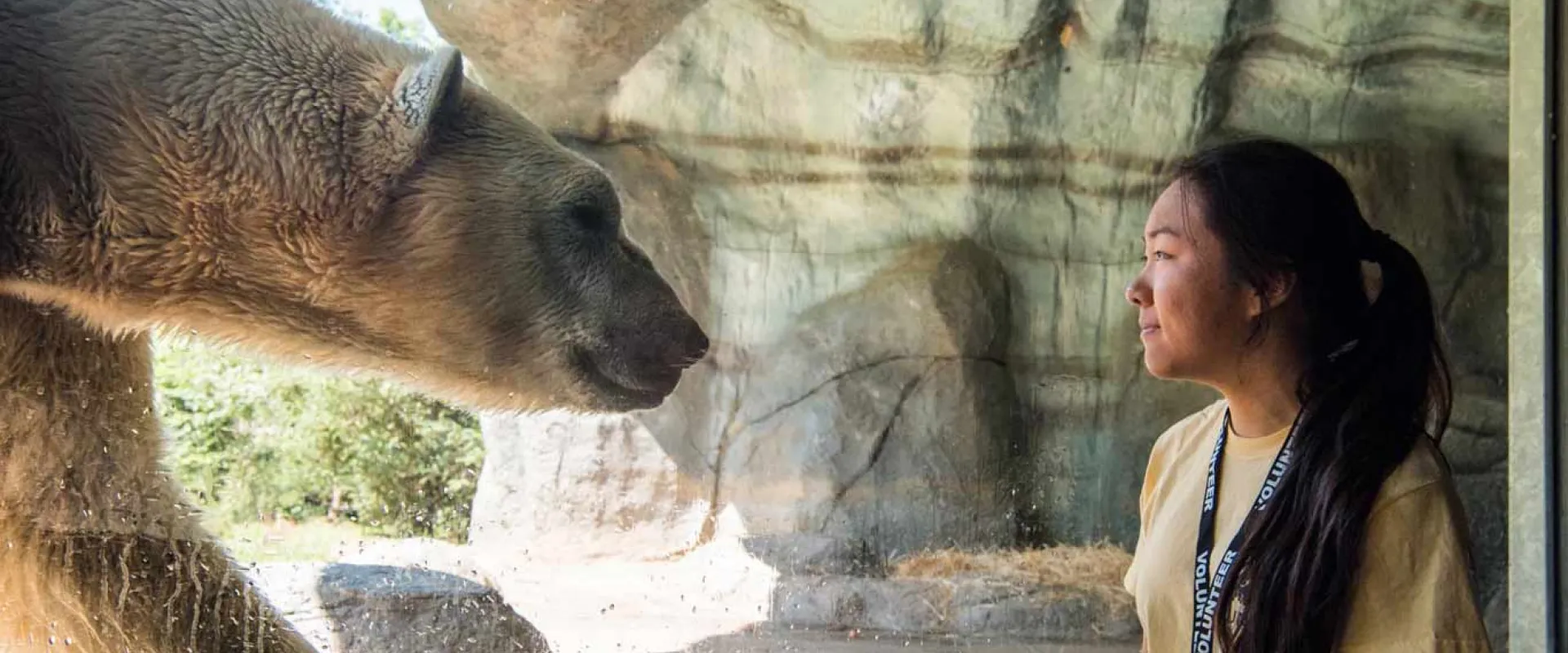A young woman with long, dark hair pulled back in a ponytail is looking through a large glass panel into an animal enclosure. Right next to the glass, a Polar Bear with white fur is walking toward the viewer, with its head slightly lowered and its mouth open. The background of the enclosure is a rocky, light-colored habitat.