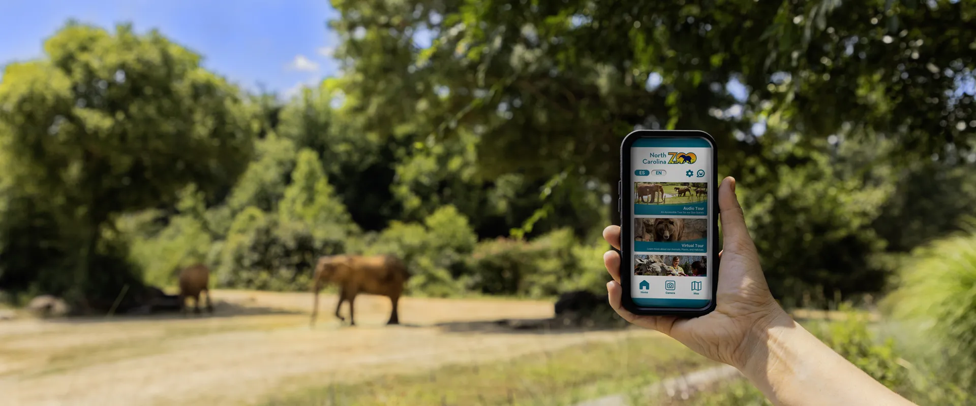 A hand holding a phone showing the home screen of the North Carolina Zoo app. The elephant habitat is in the background with two elephants, green trees, and a blue sunny sky.