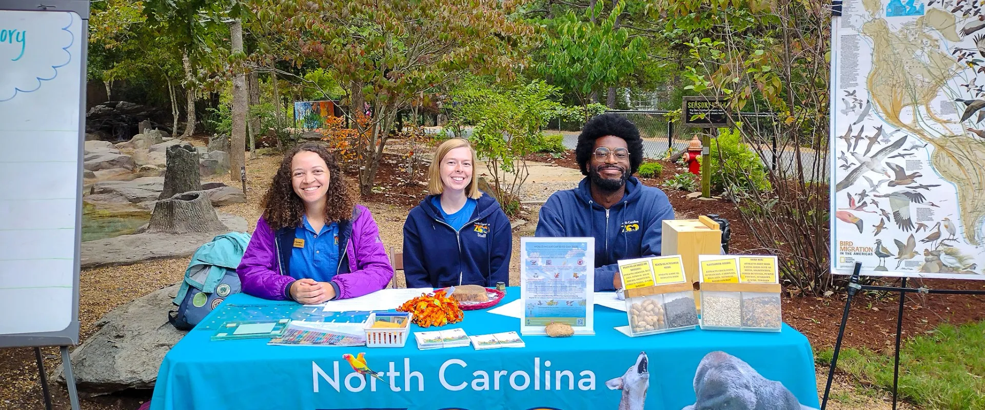 Three Zoo educators smile while seated behind a table at the Zoo's scenic outdoor playarea known as Kidzone. The table is draped in a bright blue tablecloth featuring the Zoo's logo and assorted wildlife. The table contains educational materials, drawings, seeds, and maps featuring birds.