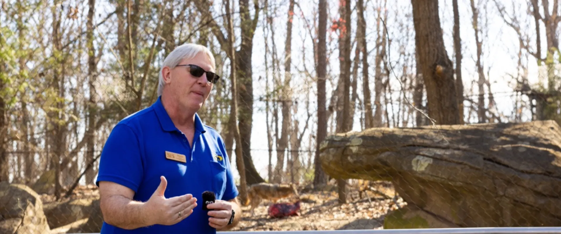 Educator Steve talking on livestream in front of the Red Wolf habitat. An American Red Wolf is in the background feeding on a carcass. 