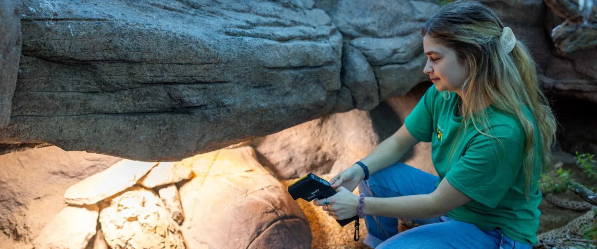 An intern in a green shirt takes the temperature of a tortoise on habitat in the Desert Dome.