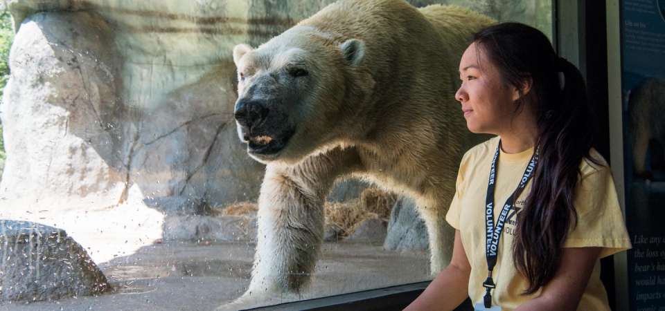 Zoo intern at the polar bear Ice Cave