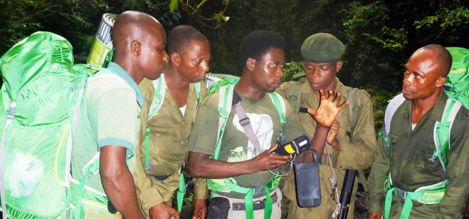 WCS rangers using cyber tracking device