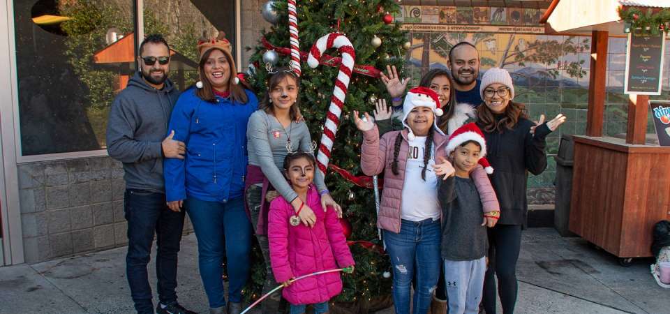 Believe family photo around Christmas tree
