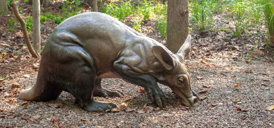 A life-like bronze statue of an Aardvark, poised and digging in the dirt. It is a dog sized animal with a long, thick tail and longer, cylindrical snout and ears.